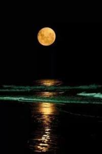 moon on beach